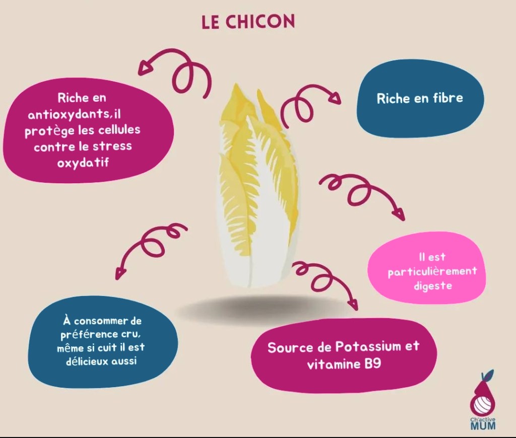 Les Bienfaits du Chicon sont nombreux.